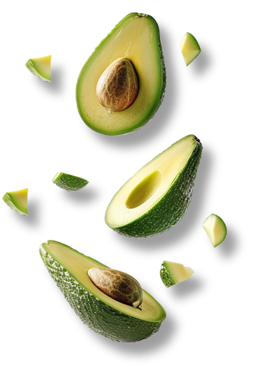 Aguacate