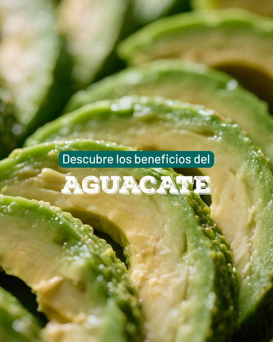 Beneficios del aguacate: por qué lo amamos en Lettus