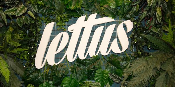 Local Lettus Madrid