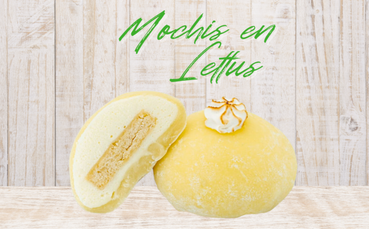  Mochis en Lettus
